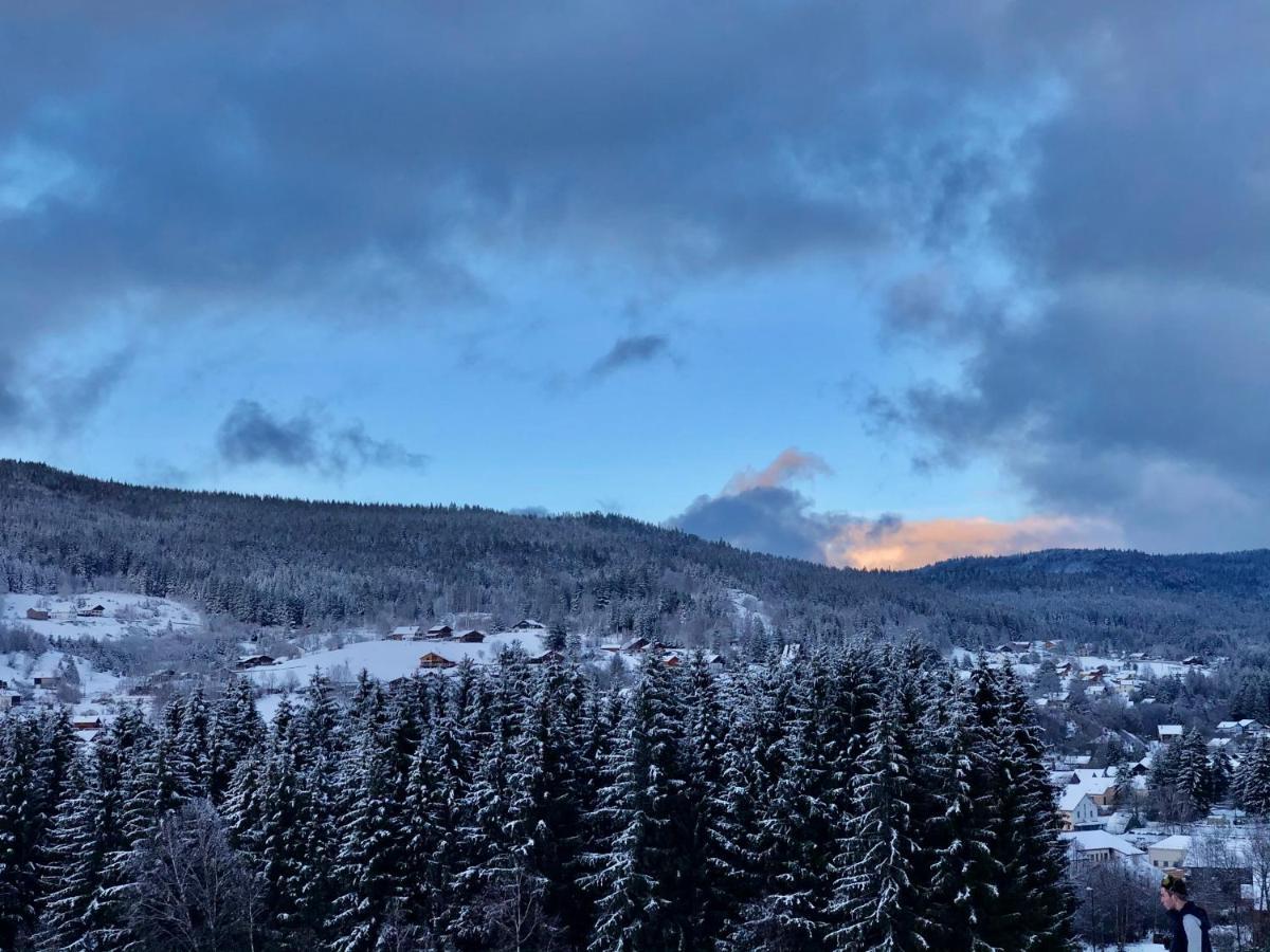 Le Bois Des Neiges Charmant Chalet Authentique A 5 Mn De Gerardmer Xonrupt-Longemer Exteriér fotografie