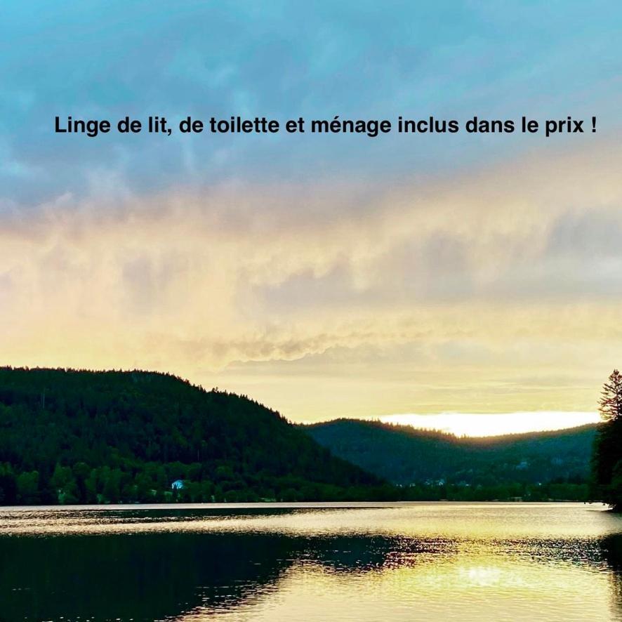 Le Bois Des Neiges Charmant Chalet Authentique A 5 Mn De Gerardmer Xonrupt-Longemer Exteriér fotografie